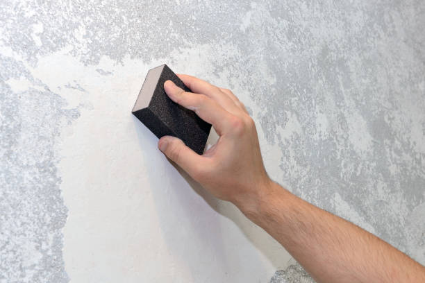 Best Mold Prevention Services  in Norton Shores, MI