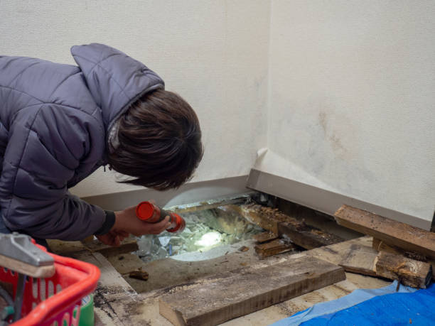 Best Mold Documentation for Insurance Claims  in Norton Shores, MI