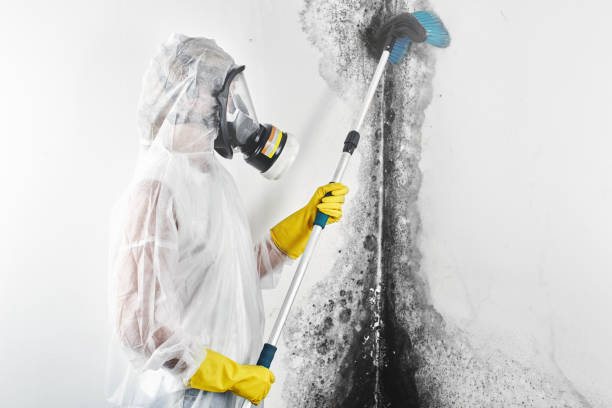 Best Indoor Air Quality Assessment  in Norton Shores, MI