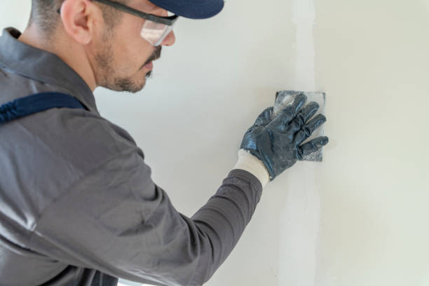 Best Post-Remediation Verification Testing  in Norton Shores, MI