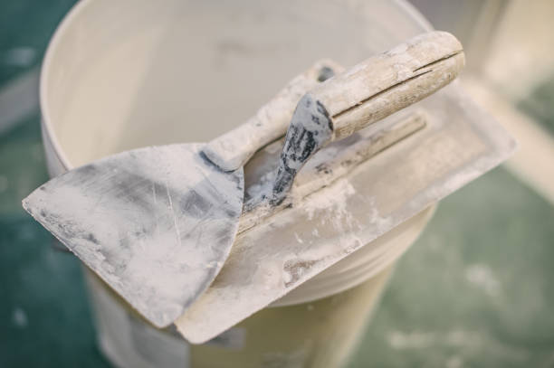 Best Comprehensive Air Testing for Mold Contaminants  in Norton Shores, MI