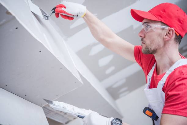 Professional Mold Removal in Norton Shores, MI