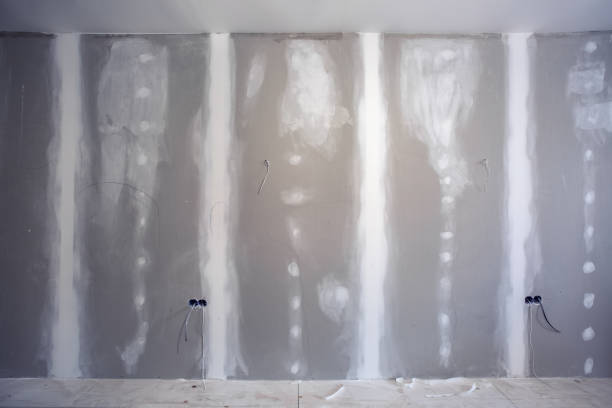 Best Asbestos and Lead Testing During Mold Inspection  in Norton Shores, MI